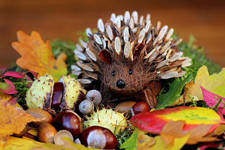 herbst